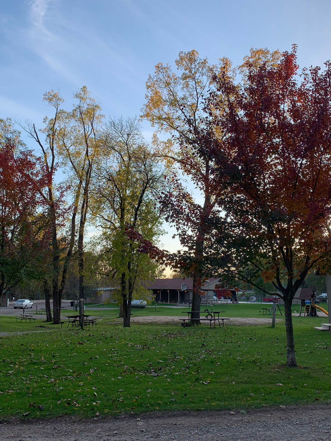 Spring trees at Apple Creek Campground