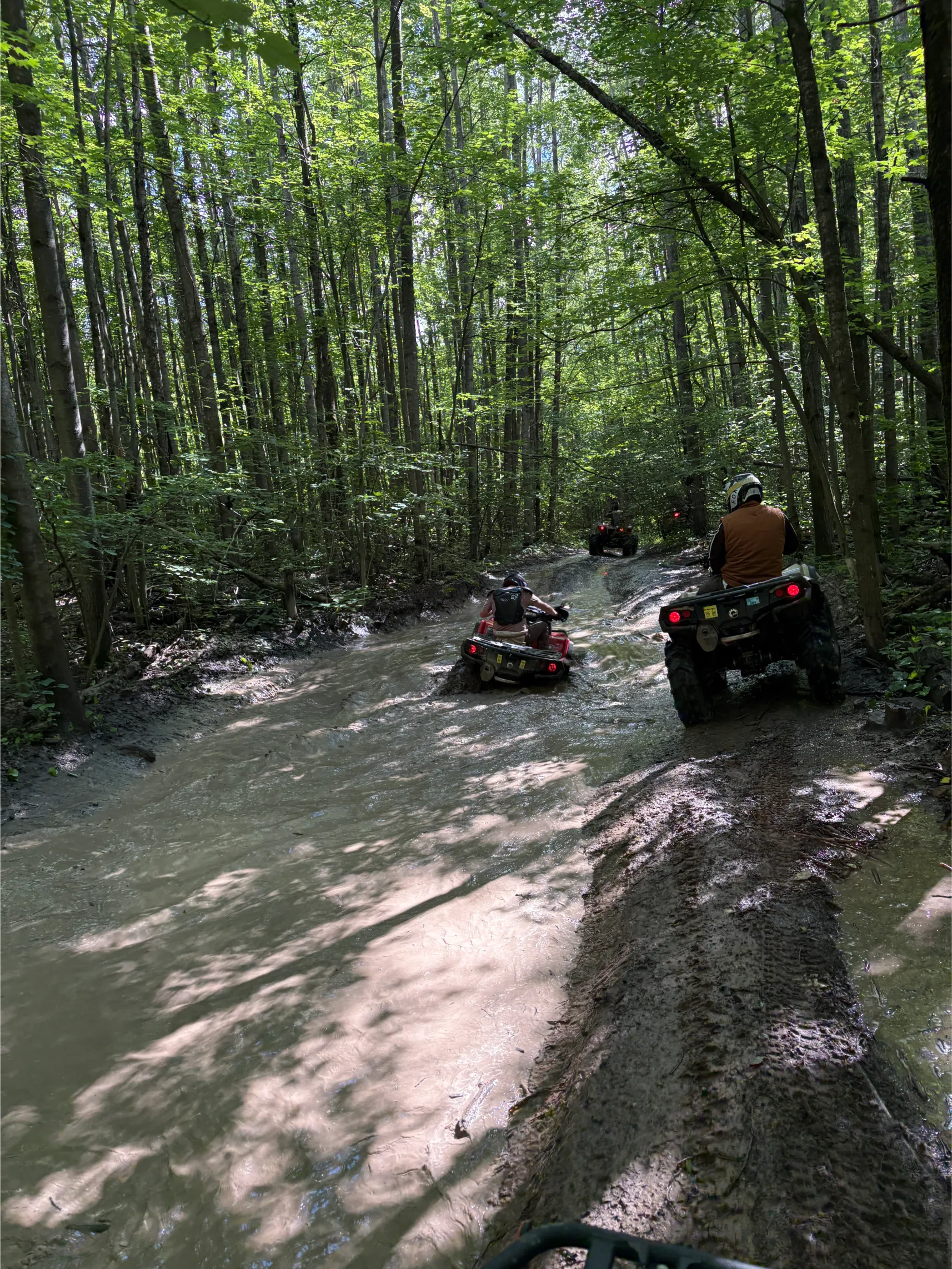 atv mud