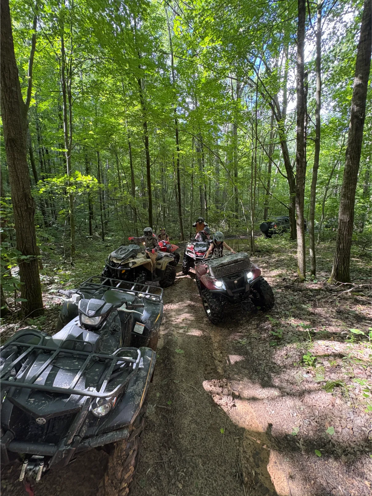 ATV and ORV trails
