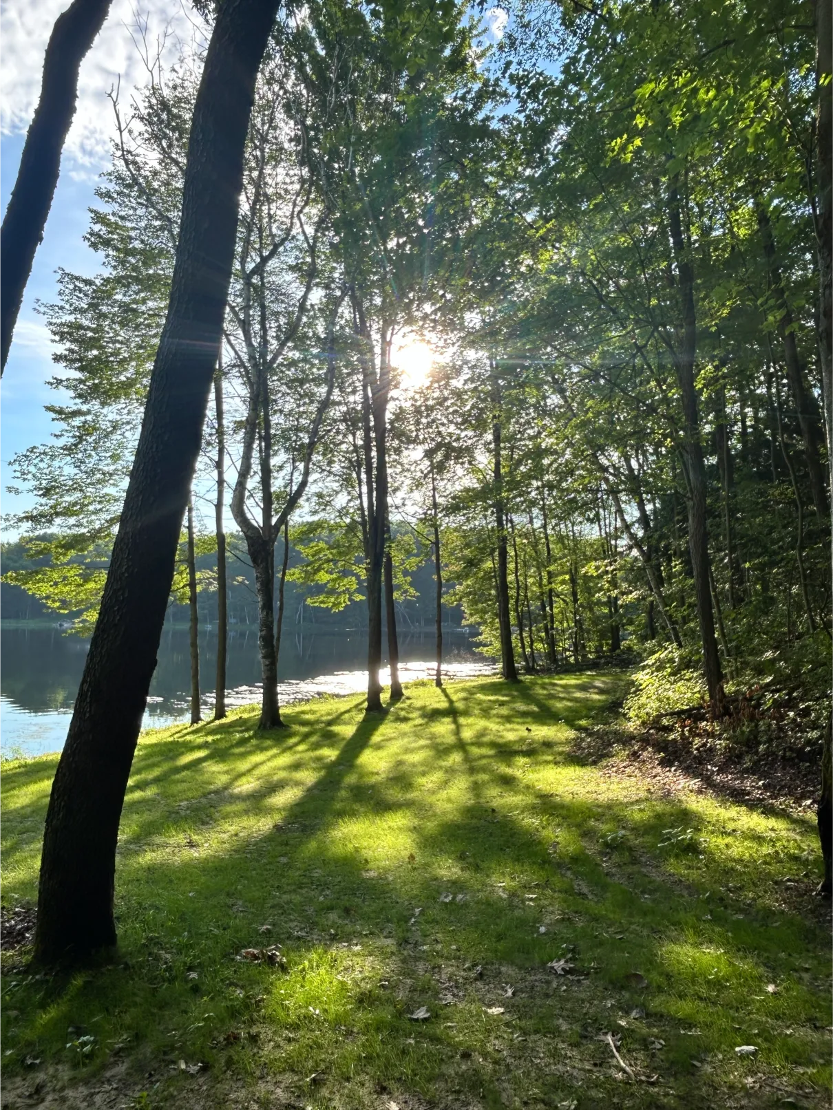 treeline