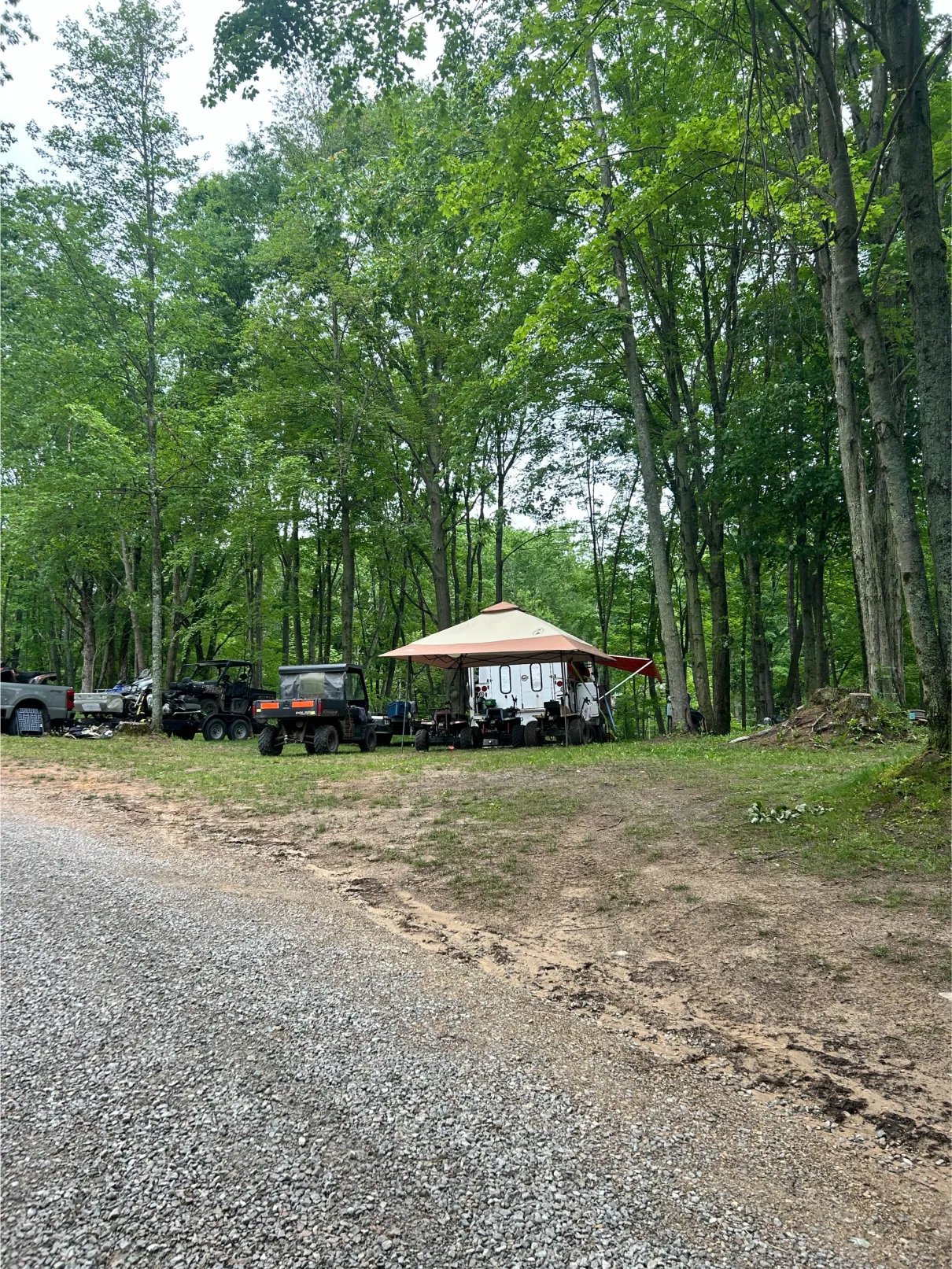 trees atv